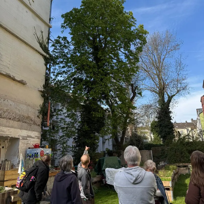 Fotot: Eine Menschengruppe ist drau&szlig;en unterwegs und schaut einen Baum an.