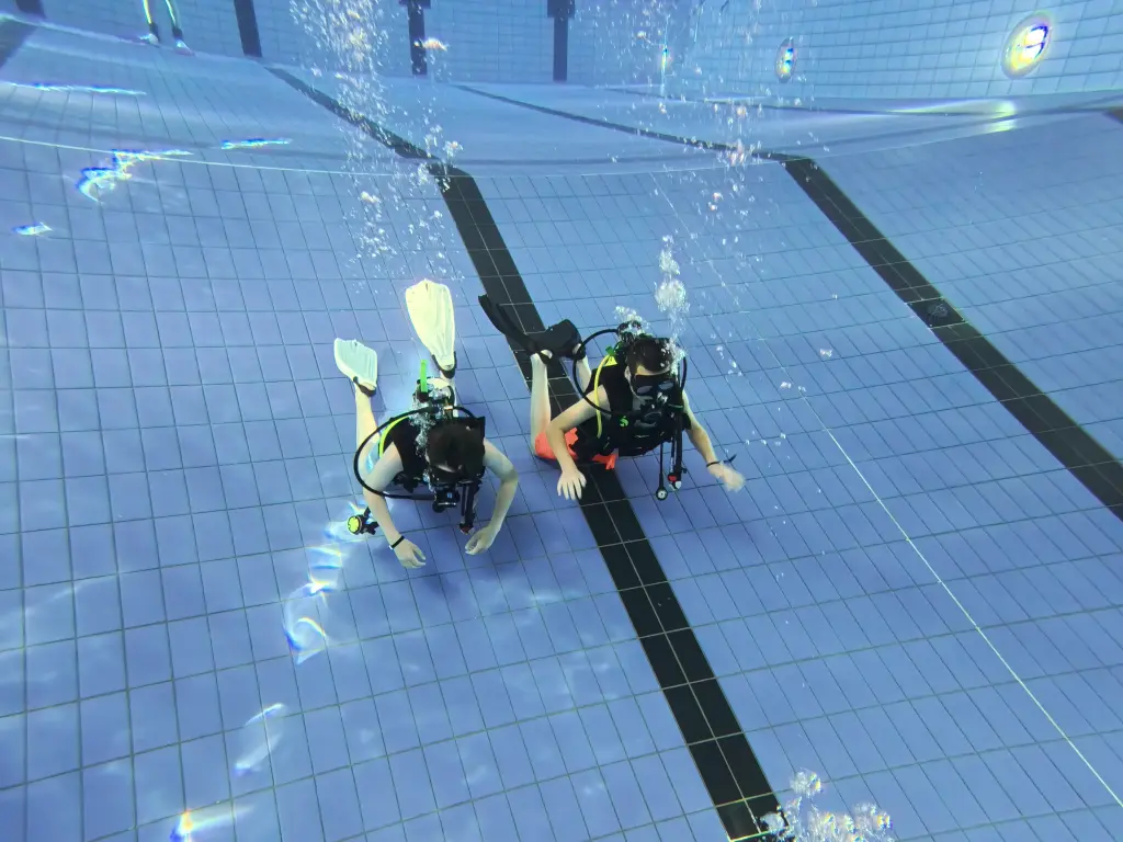 Foto: Die Teilnehmer machen Tauch&uuml;bungen.