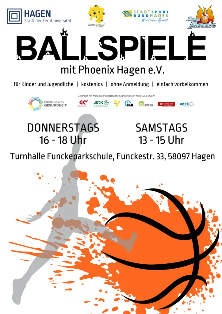 Grafik: Flyer zum Angebot "Ballspiele mit Phoenix"