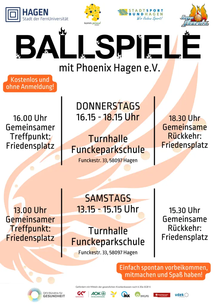 Grafik: Plakat zum Angebot "Ballspiele mit Phoenix"