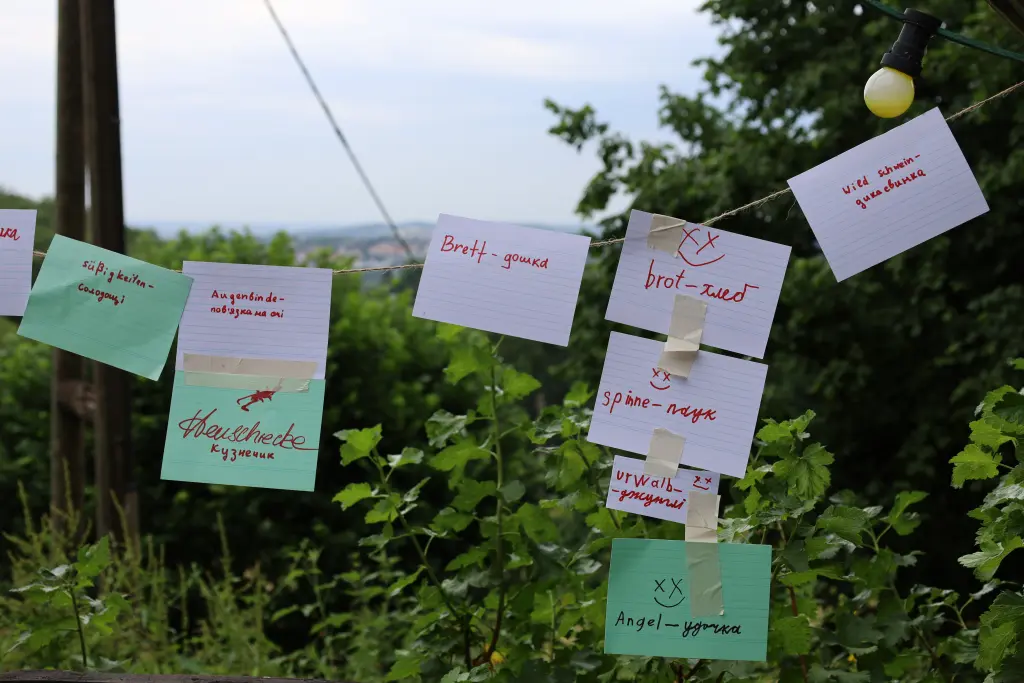 Foto: Eine Wäscheleine auf einem Feld, an die Karteikarten mit deutschen Wörtern und ukrainischer Übersetzung gehängt sind.