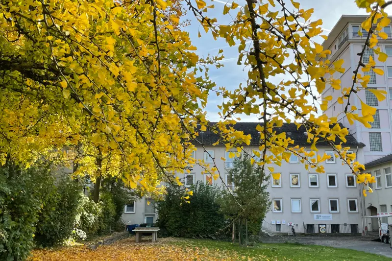 Rat am Ring