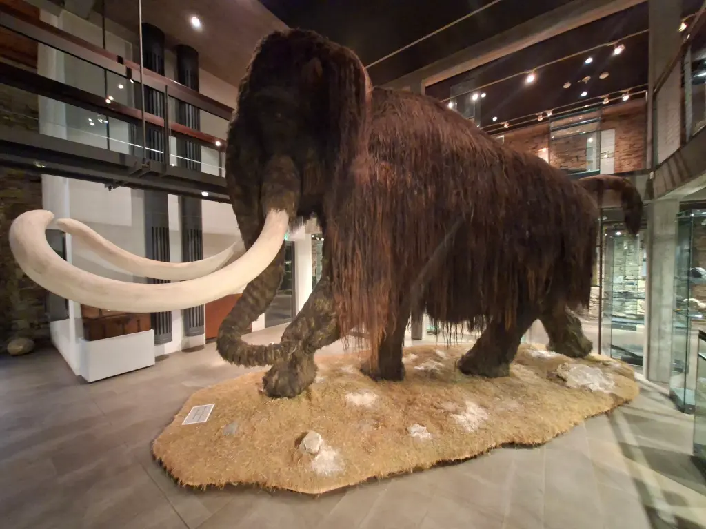 Das Mammut begr&uuml;&szlig;t die G&auml;ste