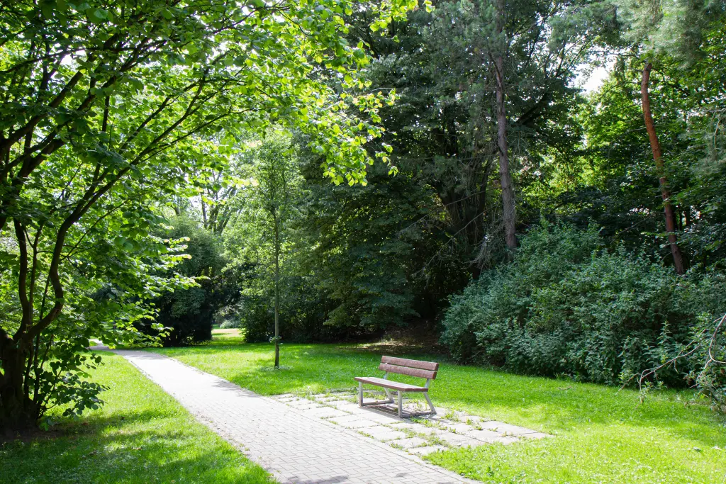 Foto: Eine Parkbank steht in einem üppig bepflanzten Park im Sommer.
