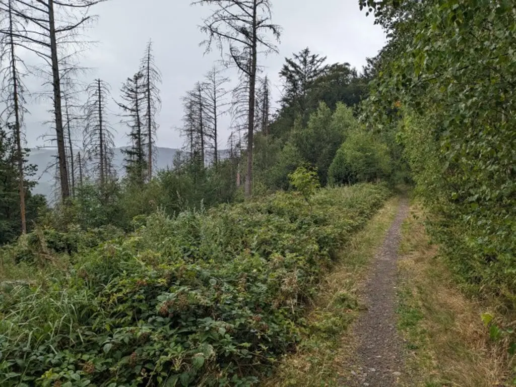 Auf dem Mountainbike durch Hagens Wälder.