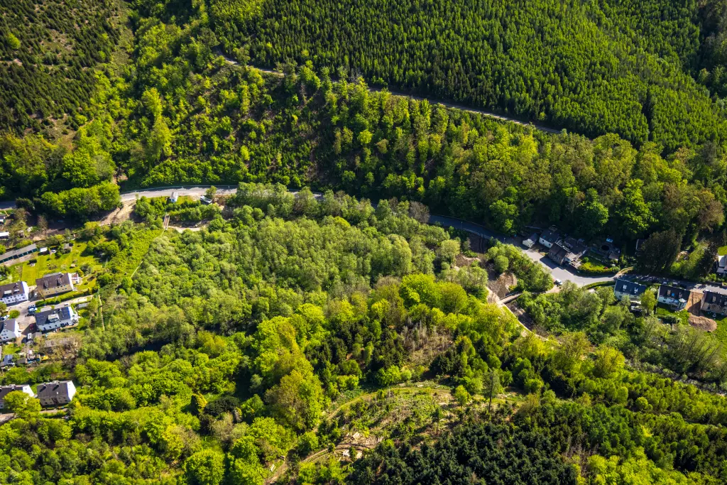 Foto: Die weitläufigen Wälder von Hagen aus der Vogelperspektive.