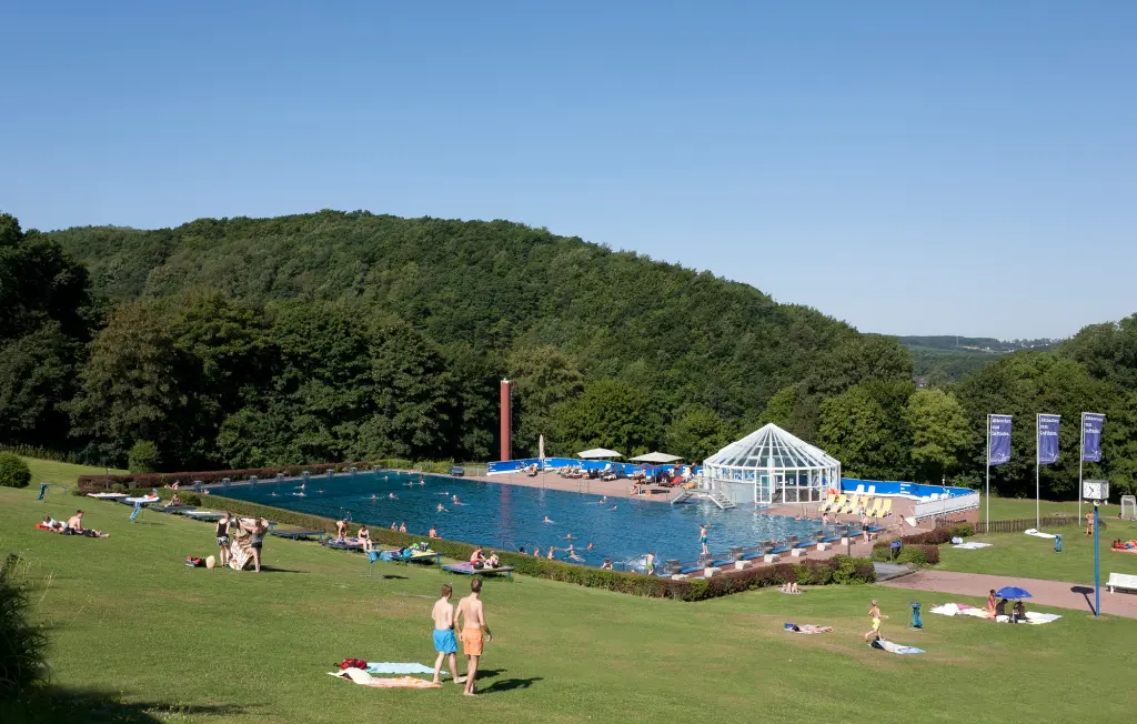 Foto: Ein großes Schwimmbad mit mehreren Bahnen auf einer weitläufigen Wiese mit einem Waldstück im Hintergrund.