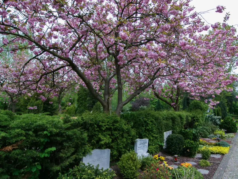 Friedhof Altenhagen