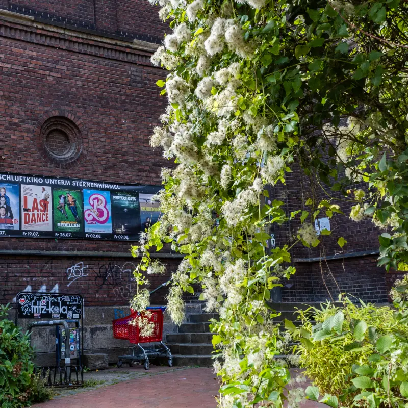 Foto: Au&szlig;enaufnahme des Kulturzentrums Pelmke.