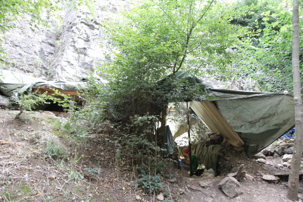 Foto: Eingang der Bl&auml;tterh&ouml;hle im Wald.
