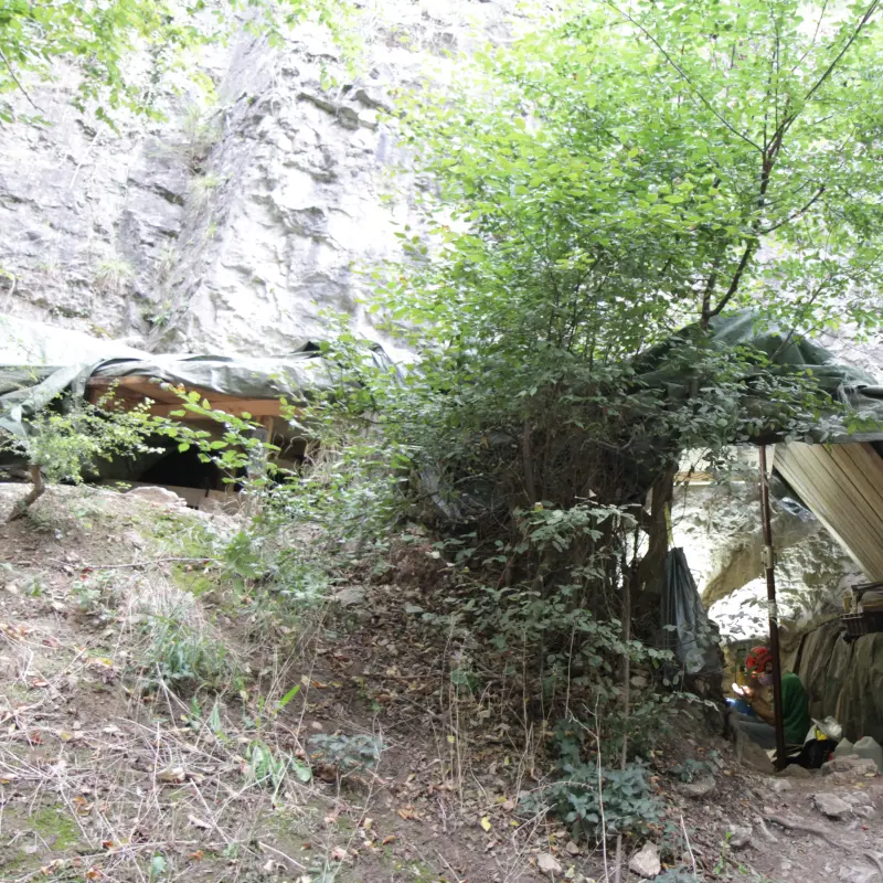 Foto: Eingang der Bl&auml;tterh&ouml;hle im Wald.