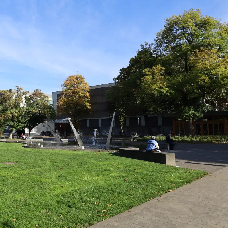 Foto: Zu sehen ist eine Gr&uuml;nfl&auml;che im Volkspark.