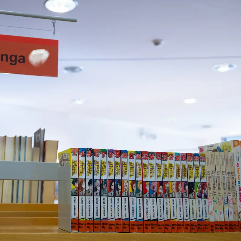 Foto: Zu sehen ist eine Bücherreihe mit Mangas und die beliebte Pokemonfigur Pikachu.