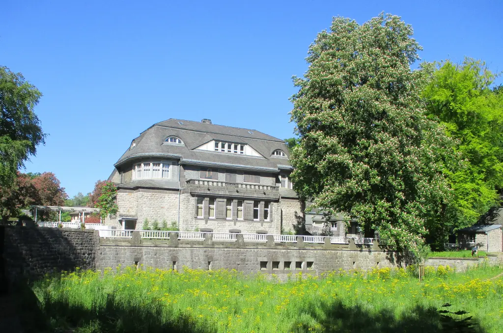 Foto: Vorne im Bild ist eine Wiese mit Blumen, rechts ein Baum und im Hintergrund das Gebäude der Villa Hohenhof.