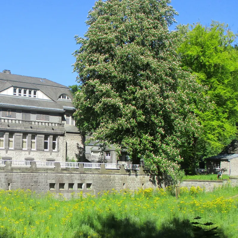 Foto: Außenansicht Villa Hohenhof