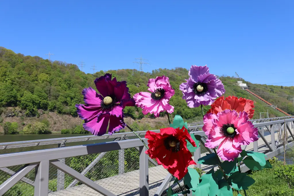 Foto: Gro&szlig;e Papierblumen vor dem Hengsteysee