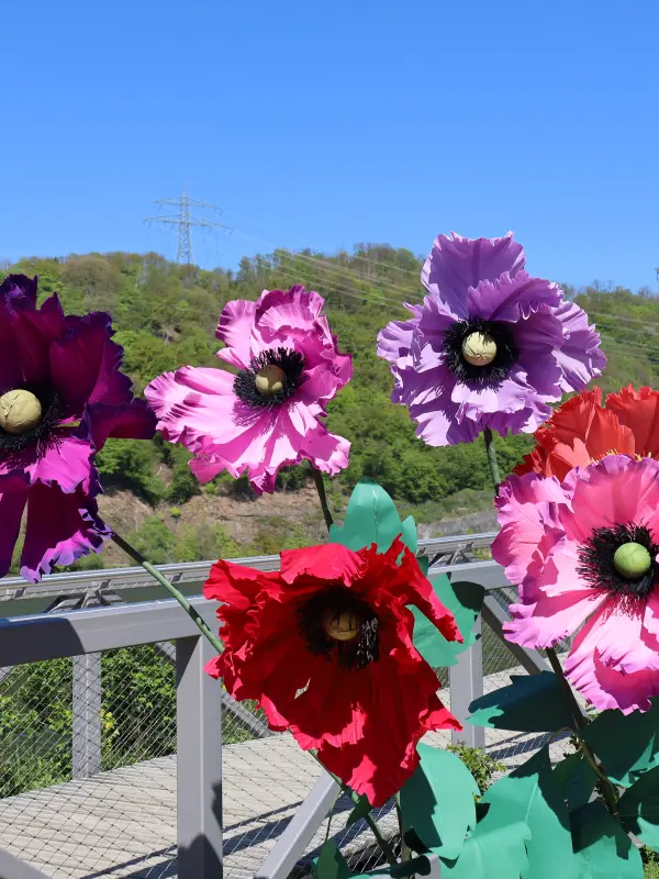 Foto: Gro&szlig;e Papierblumen vor dem Hengsteysee
