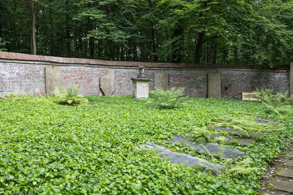 Foto: Zu sehen ist ein Waldfriedhof mit mehreren Gr&auml;bern und einer Mauer im Hintergrund.