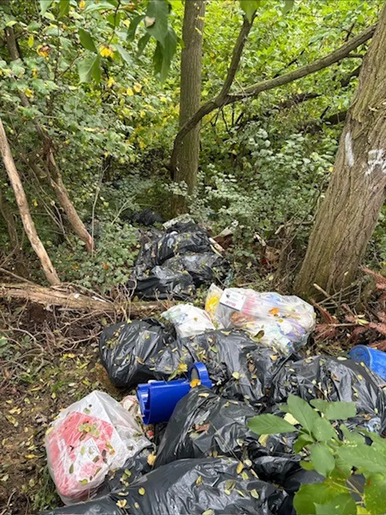 Foto: Volle Müllsäcke liegen in einem Waldstück.