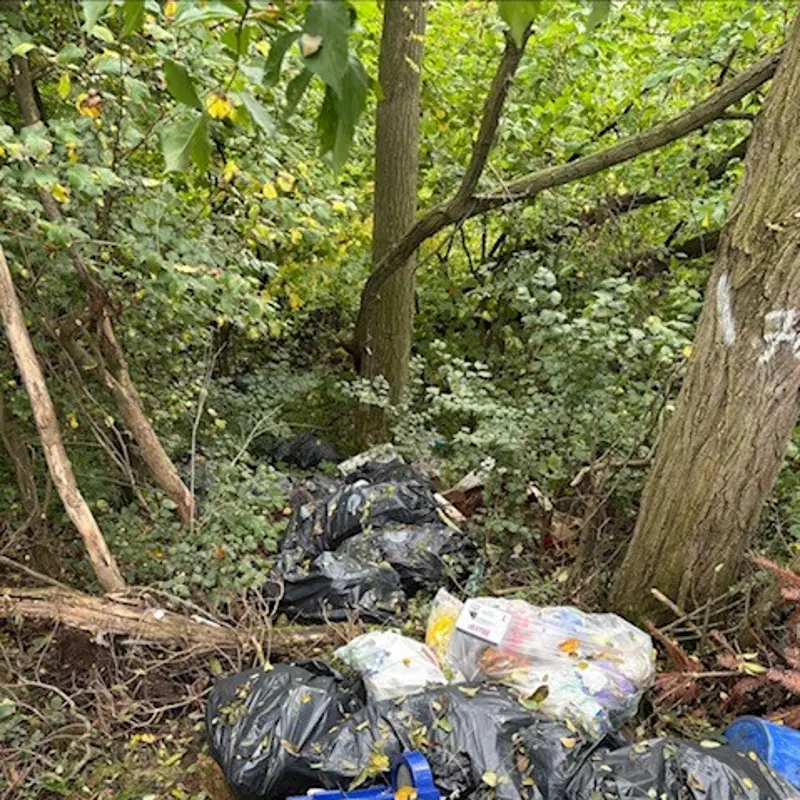 Foto: Volle Müllsäcke liegen in einem Waldstück.