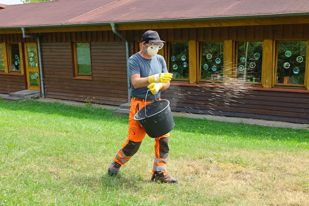 Foto: Ein Mitarbeiter des Wirtshaftsbetriebs Hagen l&auml;uft auuf einer Wiese vor der Grundschule. Er entnimmt die Vergr&auml;mungsmittel einem Eimer und verstreut sie auf der Wiese.