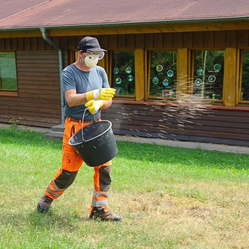 Foto: Ein Mitarbeiter des Wirtshaftsbetriebs Hagen l&auml;uft auuf einer Wiese vor der Grundschule. Er entnimmt die Vergr&auml;mungsmittel einem Eimer und verstreut sie auf der Wiese.