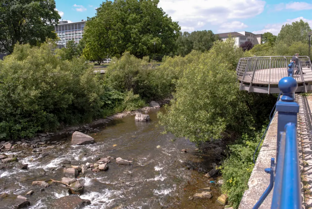 Foto: Volme mit Str&auml;uchern und B&auml;umen am Ufer