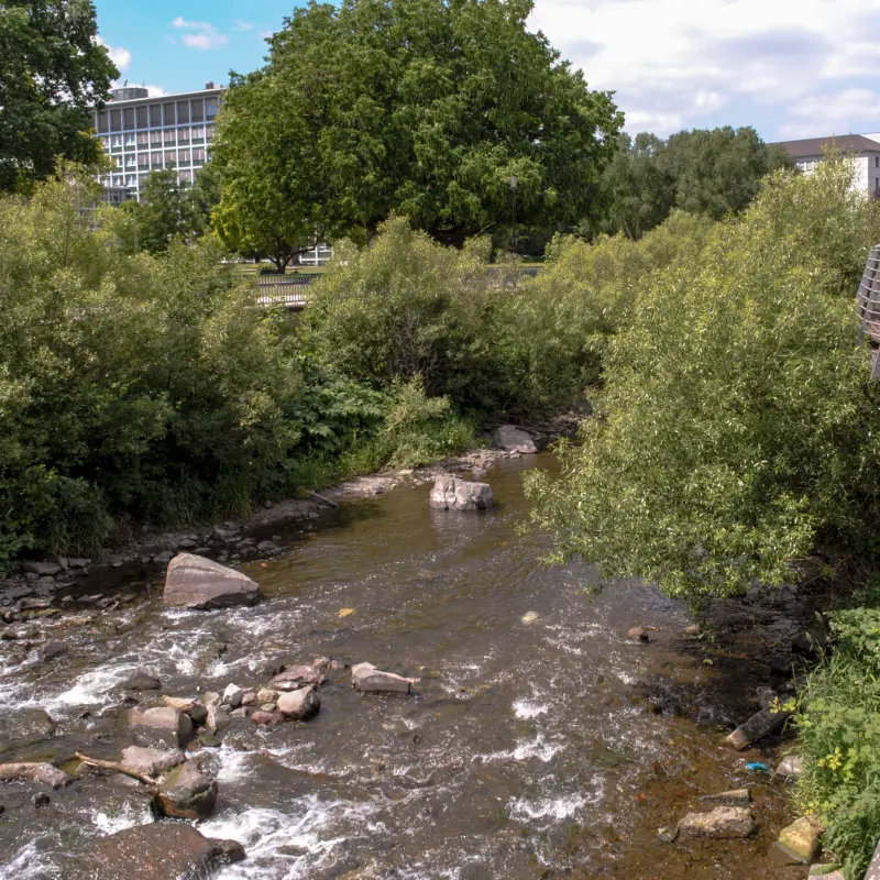 Foto: Volme mit Str&auml;uchern und B&auml;umen am Ufer