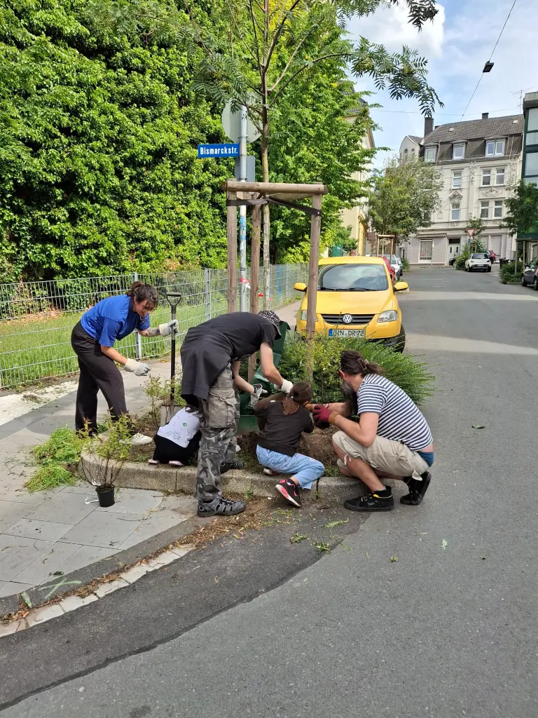 Gemeinsam bepflanzen Helferinnen und Helfer der beteiligten Projekte eine Baumscheibe in Wehringhausen.