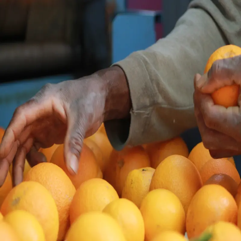 Foto: Nahaufnahme einer Hand, die in eine Kiste voller Orangen greift.