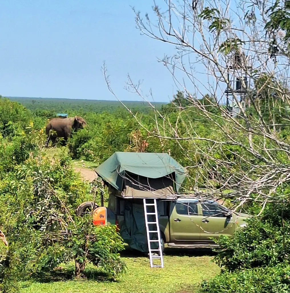 Auf dem Bild ist eine gr&uuml;ne Landschaft zu sehen. Im Vordegrund steht ein Gel&auml;ndewagen mit einem Dachzelt zum Campen. Im Gr&uuml;n hinten l&auml;sst sich ein Elefant erahnen.