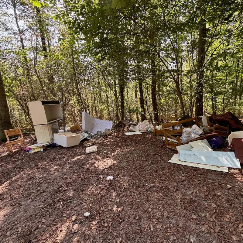 Foto: Eine illegal entsorgte Wohnungseinrichtung
