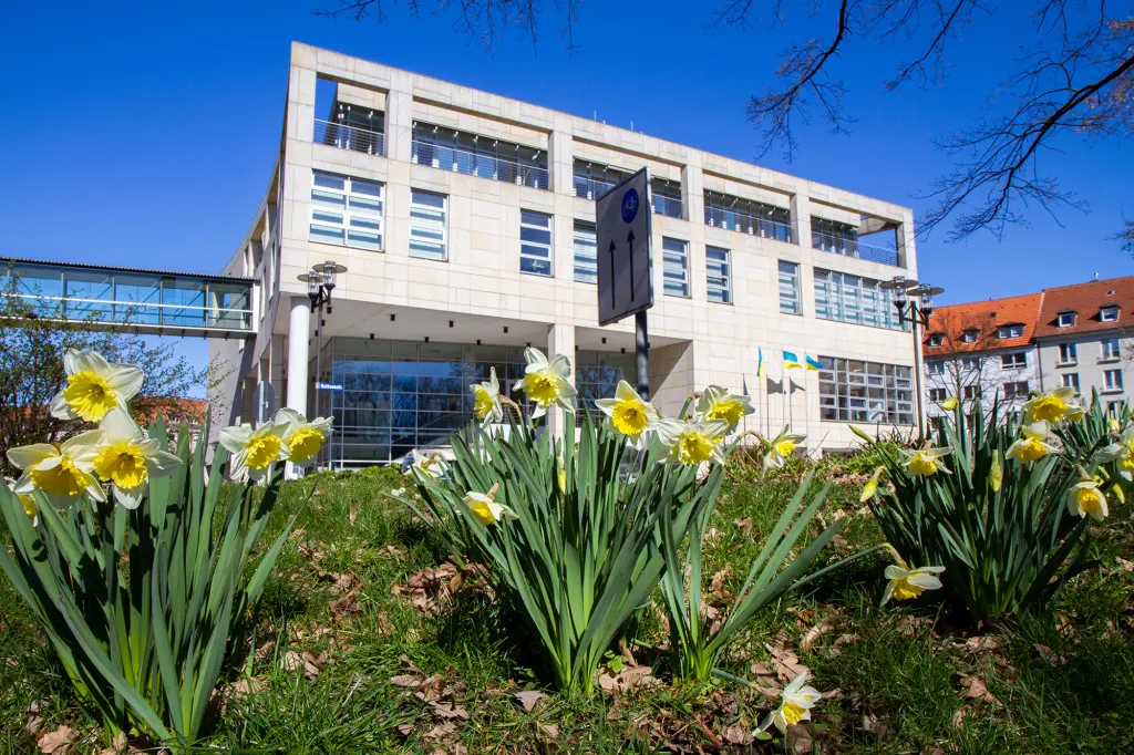 Rathaus im Frühling