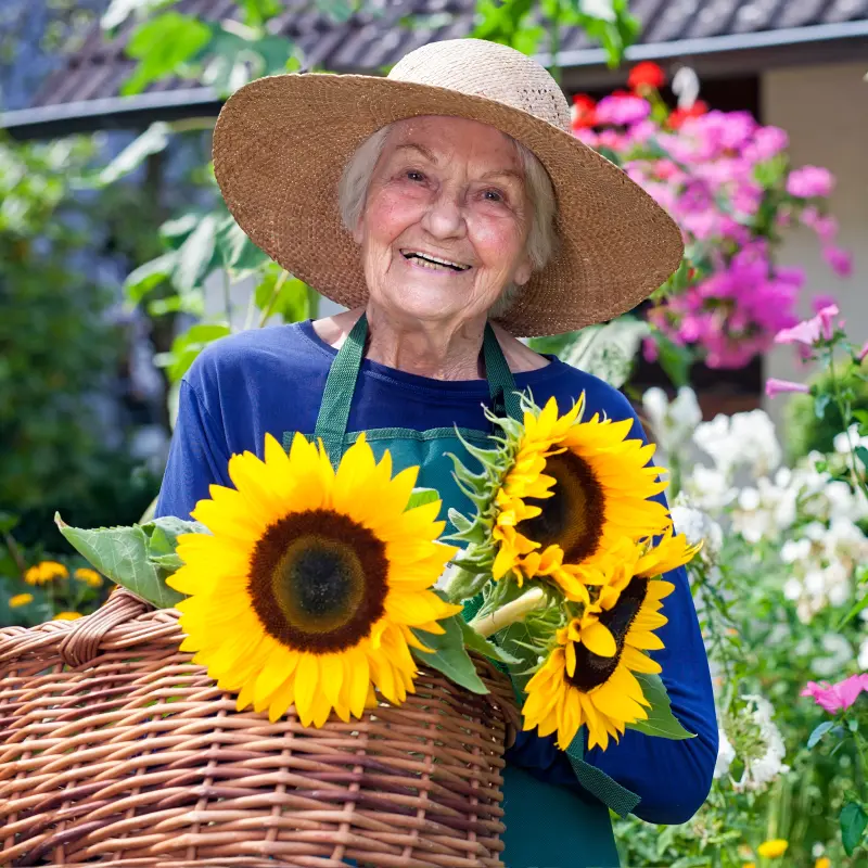 Foto: Eine &auml;ltere Dame mot Strohhut tr&auml;gt einen Korb voller Sonnenblumen.