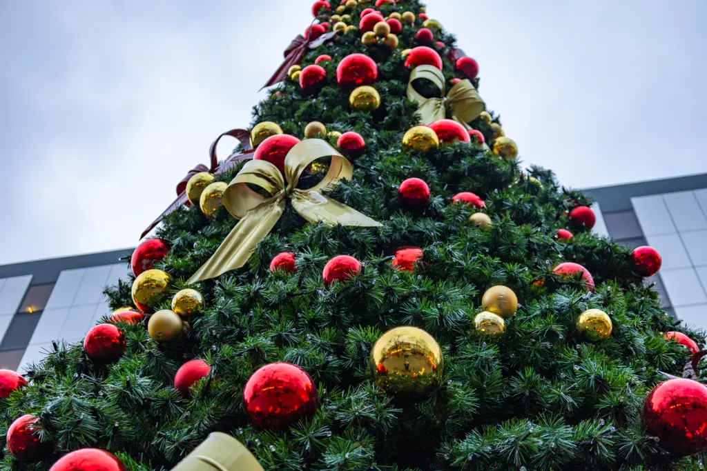 Auf dem Foto sieht man einen geschmückten Weihnachtsbaum.