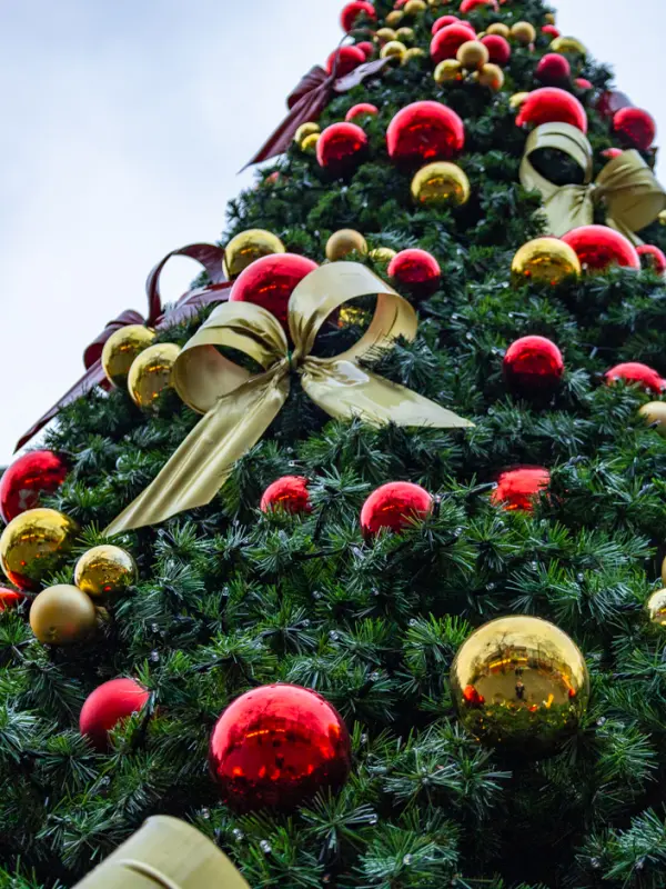 Auf dem Foto sieht man einen geschmückten Weihnachtsbaum.