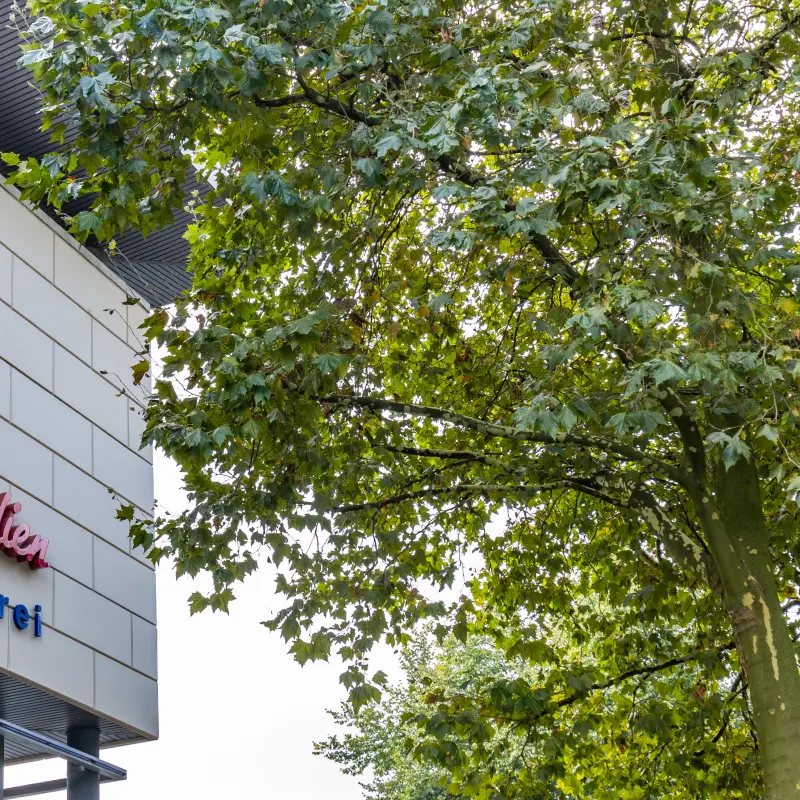 Foto: Außenaufnahme eines Gebäudeteils der Stadtbücherei auf der Springe.