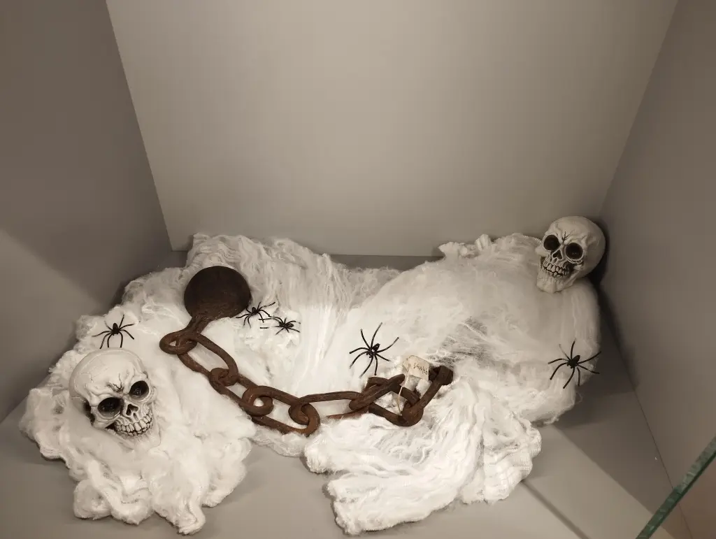 Eine Museumsvitrine gefüllt mit Watte, zwei Dekoschädeln, Spinnen und einer Deko-Eisenkette.