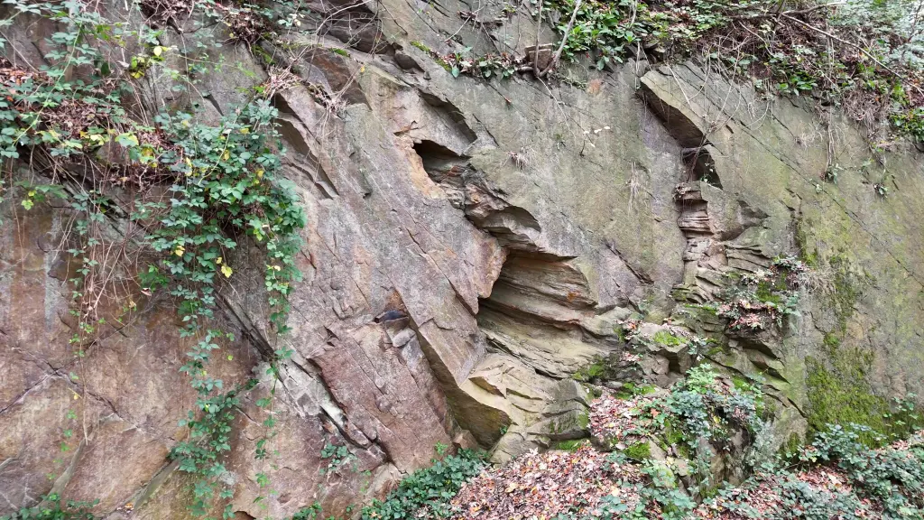 Gef&uuml;hrte Wanderung rund um den Kaisberg