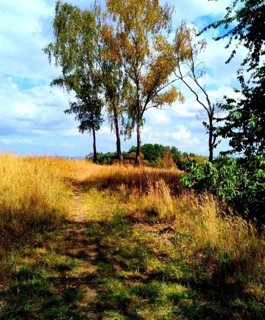 Wanderung Bismarckturm zum Kaiser-Friedrich Turm