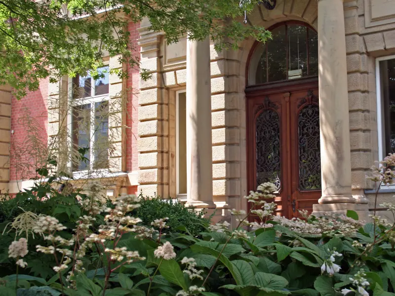 Superfood Hülsenfrüchte