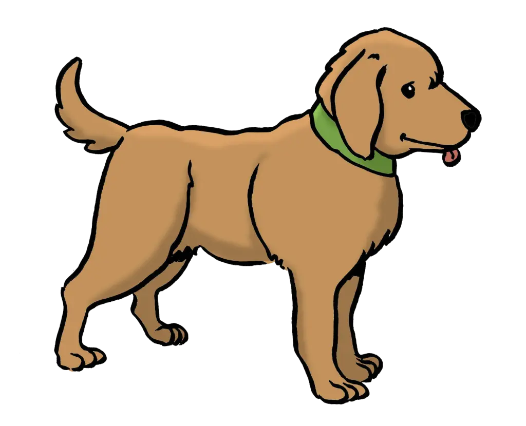 Ein Hund mit einem Halsband und heraushängender Zunge