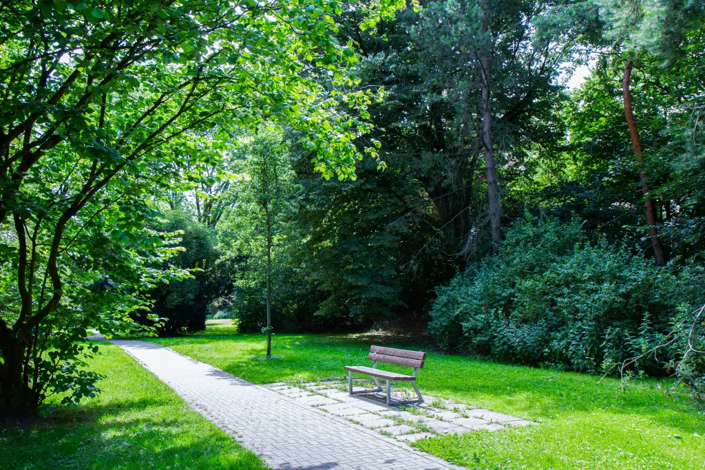 Foto: Eine Parkbank in einem sommerlichen Park in Hagen.