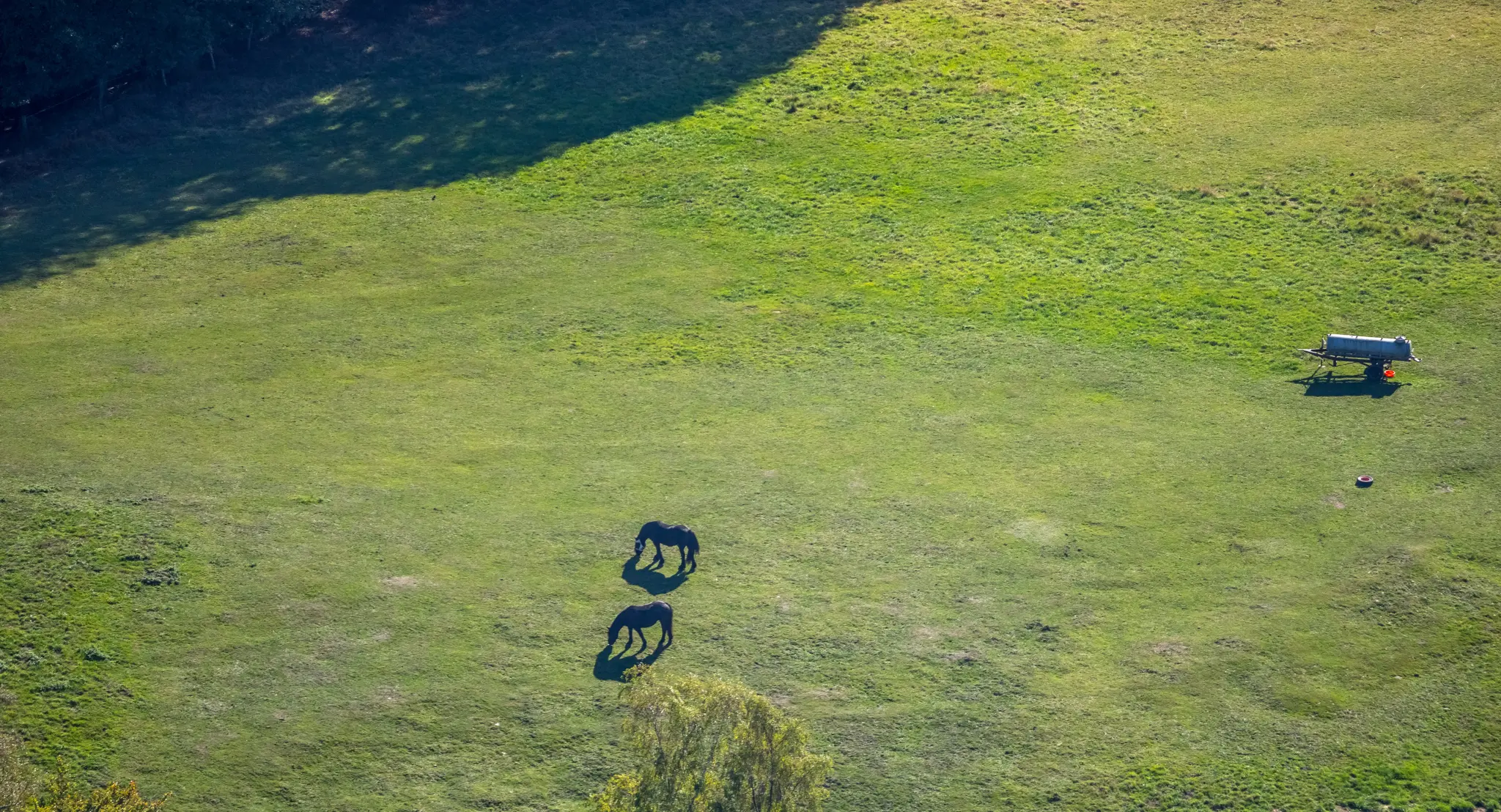 Hintergrundbild