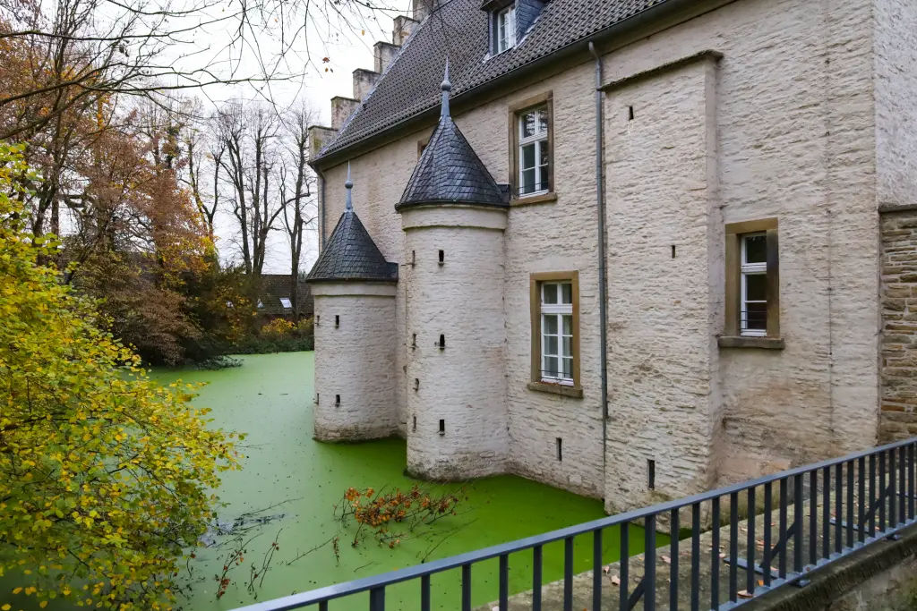 Foto: Das Wasserschloss Werdringen im Herbst mit bunten Laubbäumen und mit Pflanzen bedecktem Wasser.
