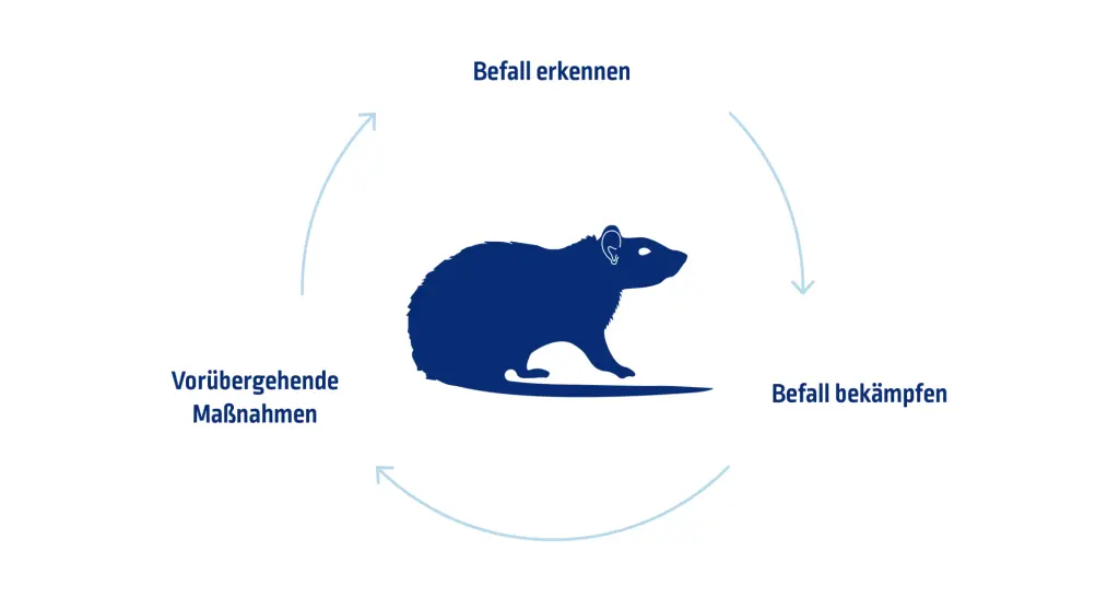 Eine umweltgerechte und ordnungsgemäße Entsorgung des Mülls ist wichtig für die Vorbeugung von Rattenbefall.