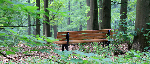 Hagen ist bekannt für seine wunderschöne erwanderbare Umgebung. (Foto: Michael Kaub/Stadt Hagen)