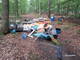Diverse Gegenstände wie Schrankteile, Teppiche und Metallteile wurden nur wenige Meter voneinander entfernt entsorgt. (Fotos: Waste Watcher)