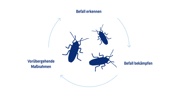 Grafik Kakerlakenbefall