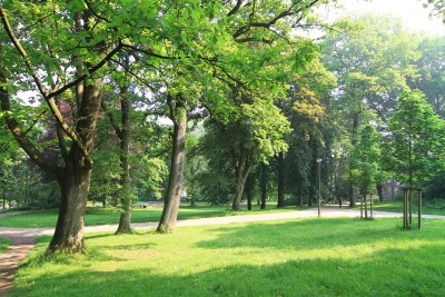 Das Kurs findet im Stadtgarten statt (Foto: Michael Kaub)